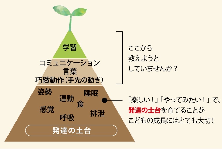 発達ピラミッド